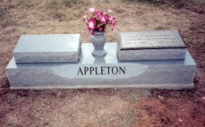 APPLETON d913va